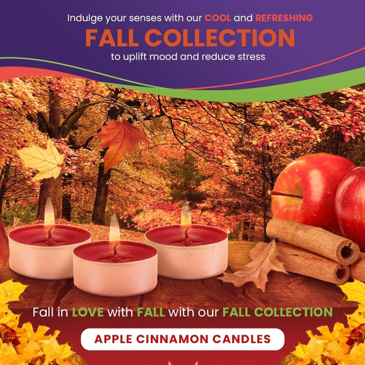 Apple Cinnamon Scented Candles – Fall Collection with cozy atmosphere and autumn decor.